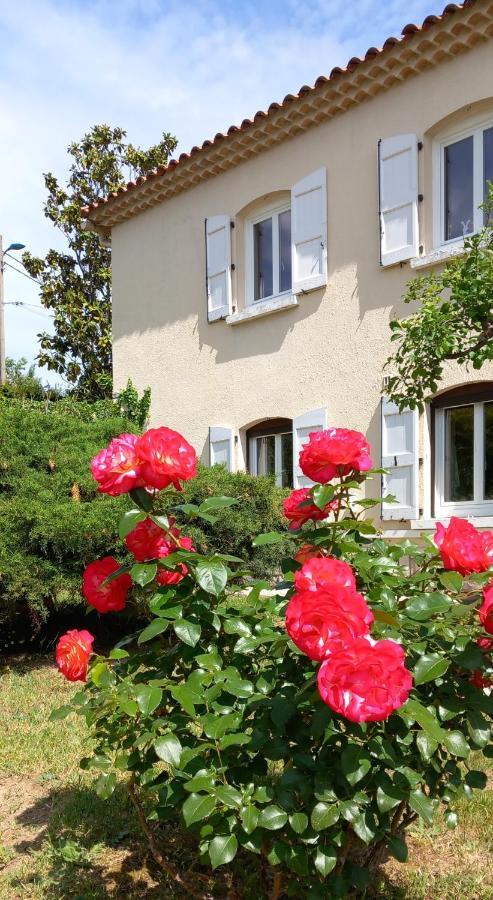 Le Relais Fleuri Hotel Alès Kültér fotó