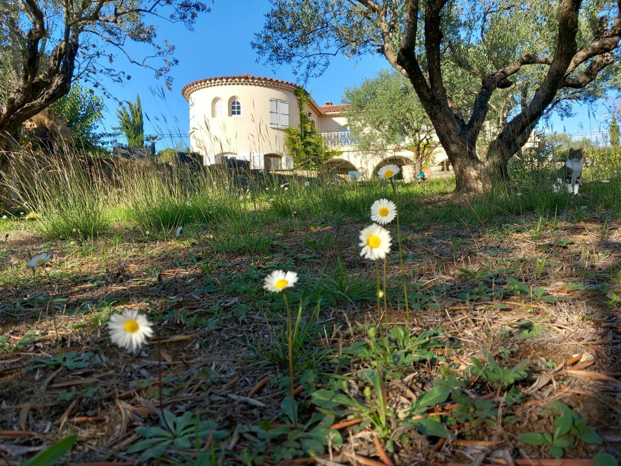 Le Relais Fleuri Hotel Alès Kültér fotó